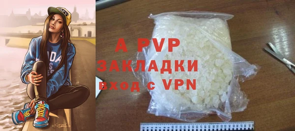 стафф Арсеньев