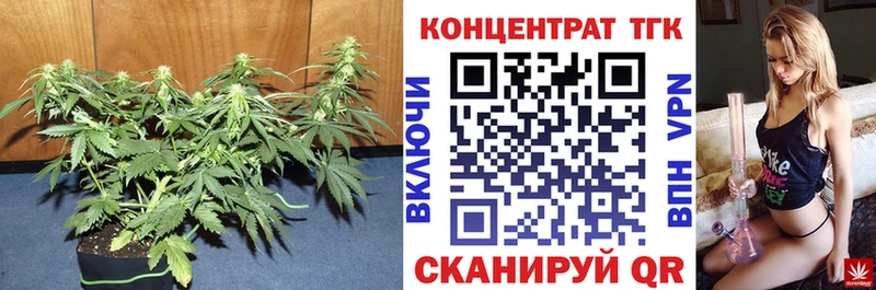 ТГК THC oil  сколько стоит  Мглин 